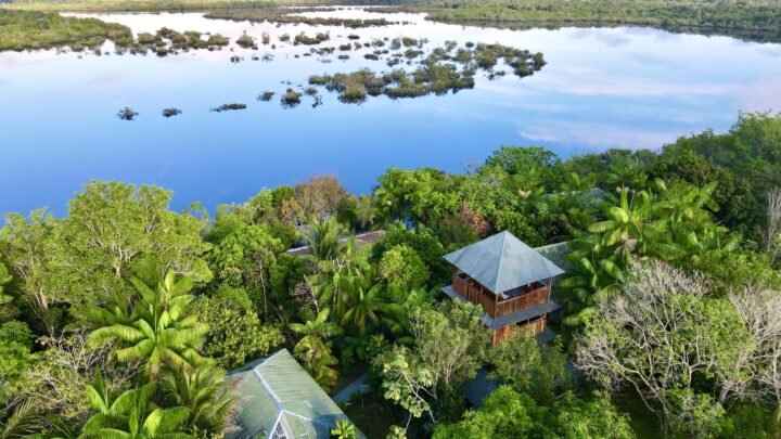 The Amazon in BRAZIL: World's best jungle