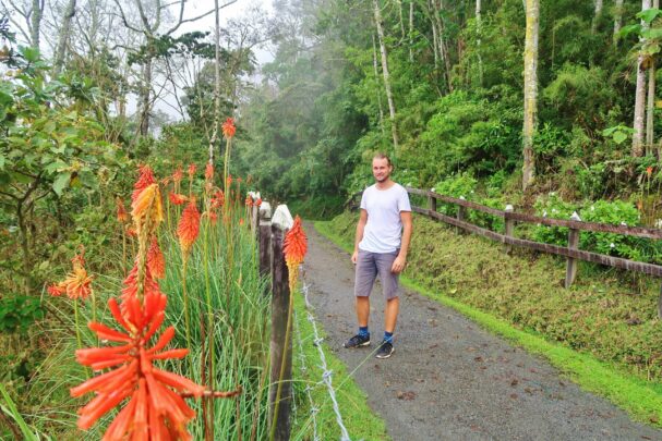 Backpacking in Colombia: Salento and Valle de Cocora