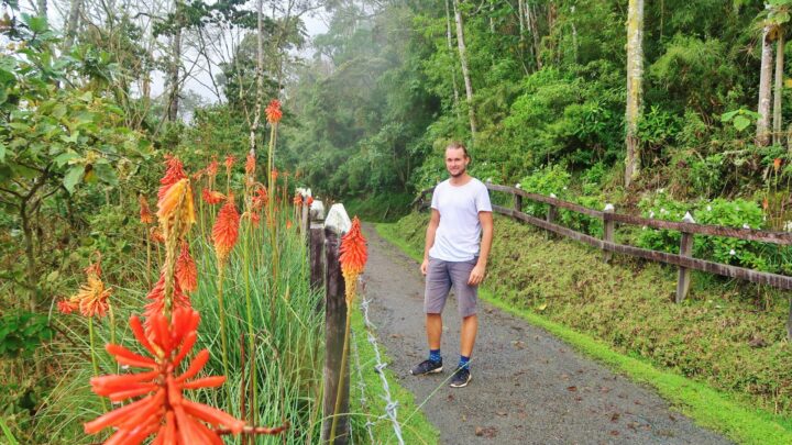 Backpacking in Colombia: Salento and Valle de Cocora