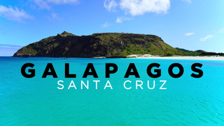 Island hopping in the Galapagos: Isla Santa Cruz