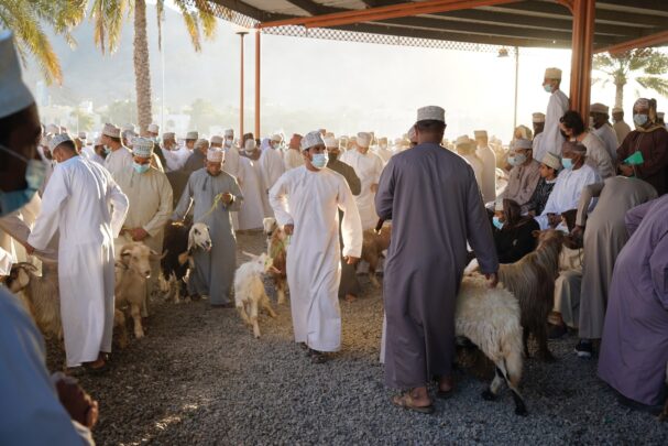 Oman's largest goat market in Nizwa