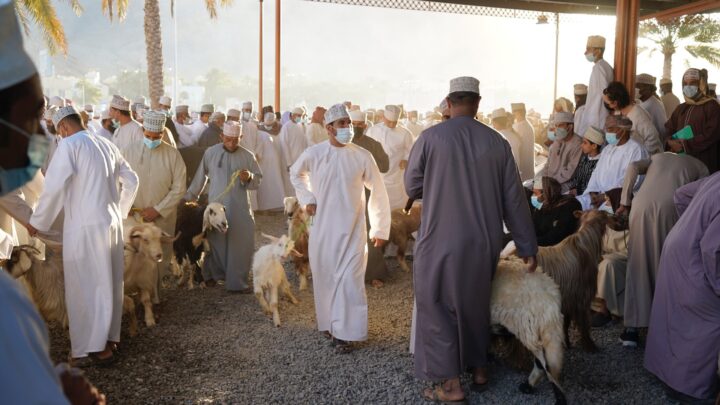 Oman's largest goat market in Nizwa