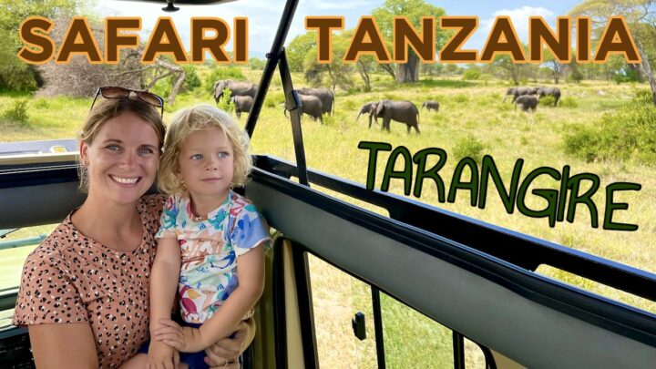 Safari in Tanzania: Tarangire National Park