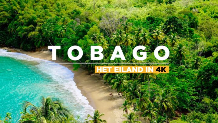 Tobago: an undiscovered natural paradise